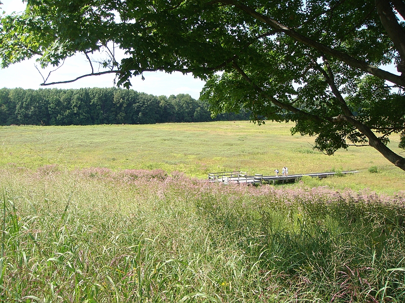 074 Longwood Gardens [2008 August 23].JPG - Longwood Gardens in Pennsylvania
